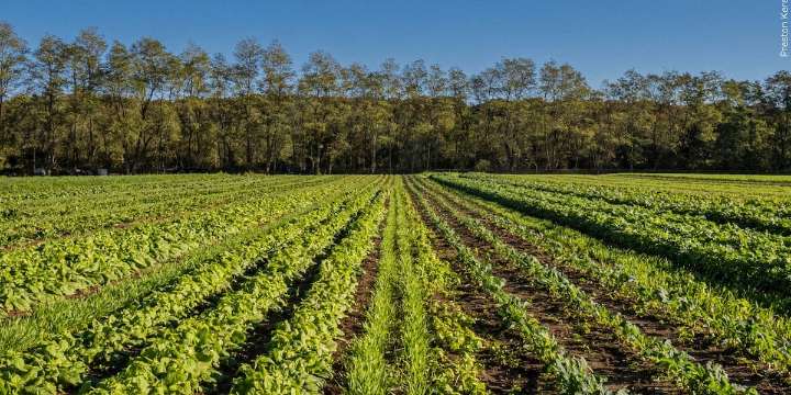 Trump is proposing a $12B aid package for farmers hit hard by his trade war with China