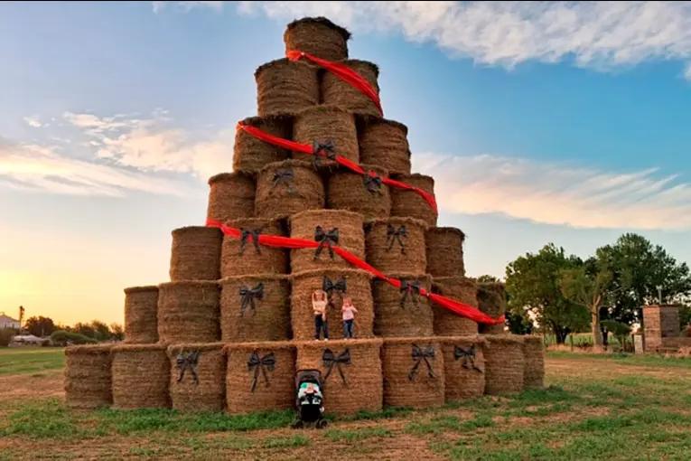 Productor santafesino armó un árbol navideño con fardos y transformó la imagen de su pueblo