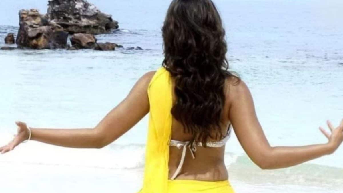 This Tollywood Star Became An Overnight Sensation, Then Her Career Took A 'Shocking' Turn