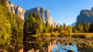 Yosemite’s Little-Known Ban Puts A Stop To One Kind Of Souvenir Hunting