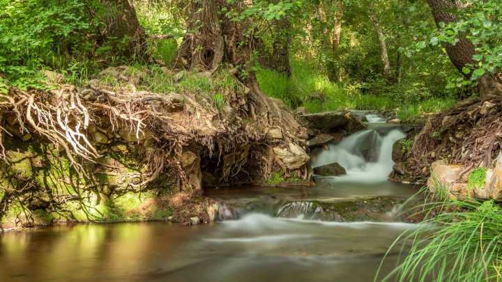 Un río, molinos centenarios y un túnel natural: así es la ruta de la Sierra Norte de Sevilla ideal para recibir diciembre