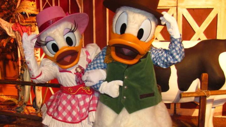 Donald Dueck Marries Daisy, Cousin Mickey Not Invited