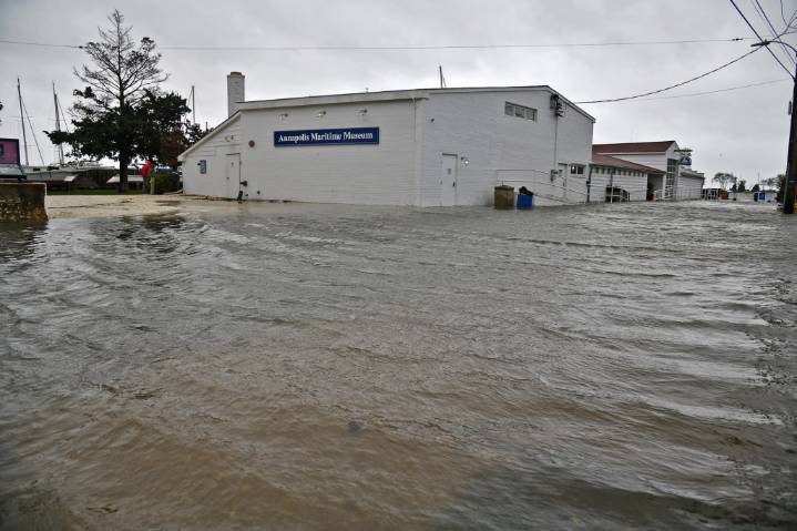 Eastport next up for Annapolis flooding relief
