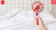 Do bedbugs live in daily wear clothes? How to wash, dry and store fabrics safely
