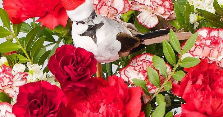 'Beautiful' £27 Christmas flowers delivered from family