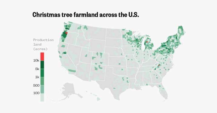 Map: Where in the U.S. Christmas trees are grown