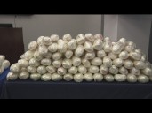 More than $22M in meth tied to Mexican cartel hidden inside shipments of produce