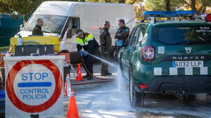 El brote de peste porcina en Barcelona apunta a una posible cepa de laboratorio, según la UE