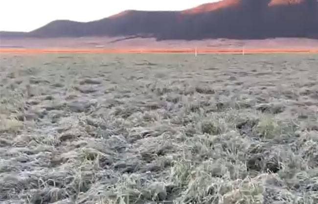 Peligra sierra de Arteaga por combustible ‘helado’