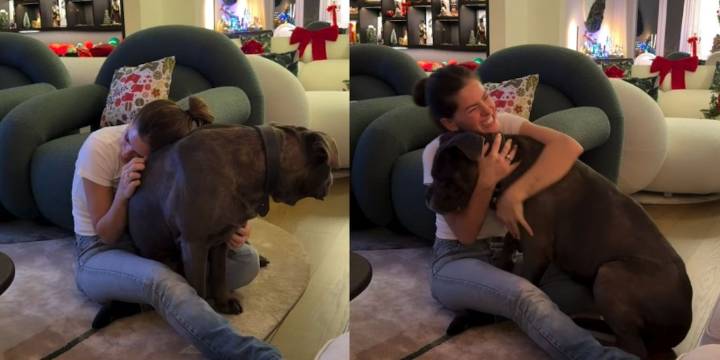 El cuestionamiento a Mauro Icardi por el video de la China Suárez con su perro Tano: “Es al que sus hijas extrañan”