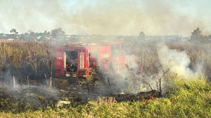 En un mes, Bomberos tuvieron que sofocar casi 50 incendios