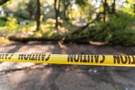 International wildlife criminal wanted under INTERPOL Red Notice arrested in Sikkim