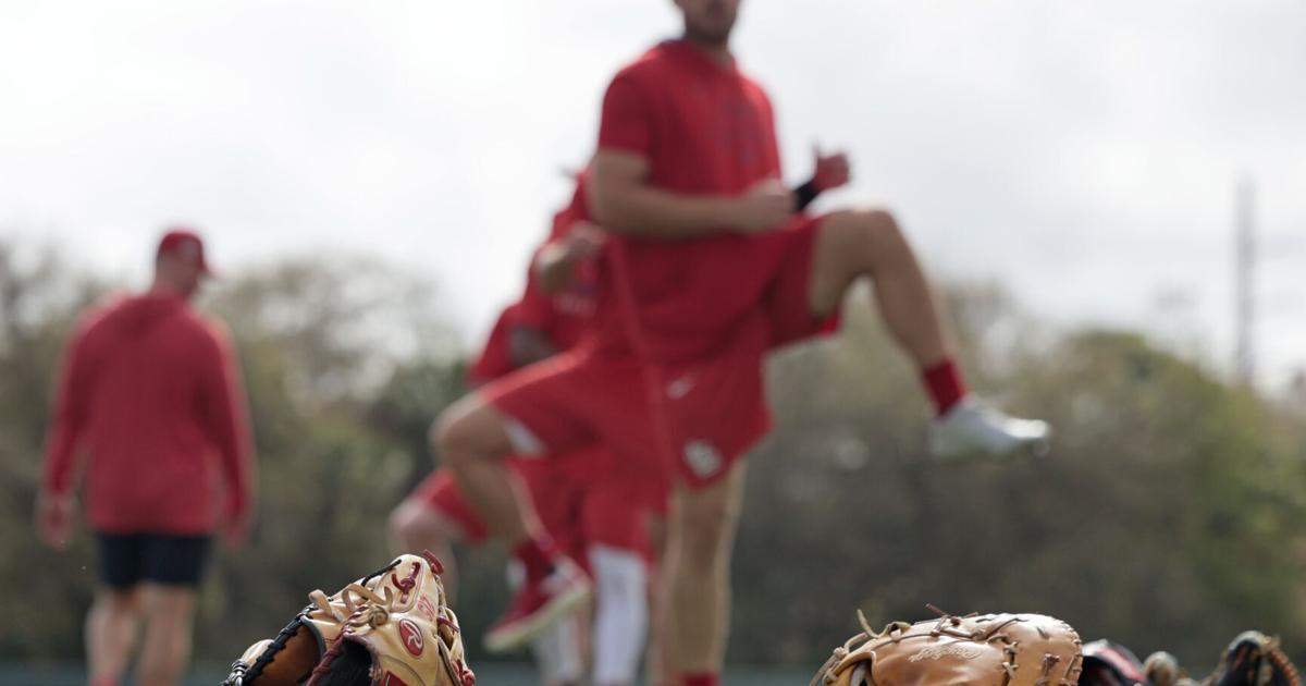 What does winter present for Cardinals' player development?