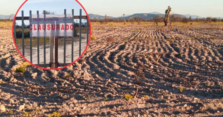 Profepa clausura dos predios en Tula, Tamaulipas: remoción ilegal de 143.5 hectáreas de matorral desértico micrófilo