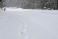 Massachusetts weather forecast: Arctic blast to follow damp weekend