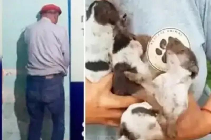 Maltrato animal: condenan a un hombre que enterró vivos a cuatro cachorros