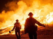 The most powerful news photos of the year