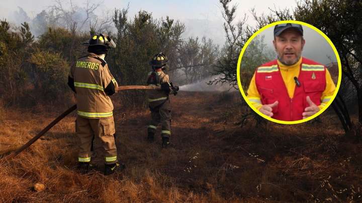 "No tenemos ninguna vivienda afectada": Mantienen Alerta Roja por incendio forestal que afecta a sector de Valparaíso