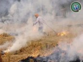 Centre highlights major steps to curb stubble burning, says 90 % reduction achieved in Punjab and Haryana [ FULL VIEW ]