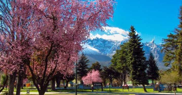 Se casaron en Estados Unidos y se divorciaron en El Bolsón: un complejo turístico y una biblioteca quedaron fuera de la división de bienes