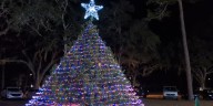 Tacachale community holds annual tree lighting ceremony