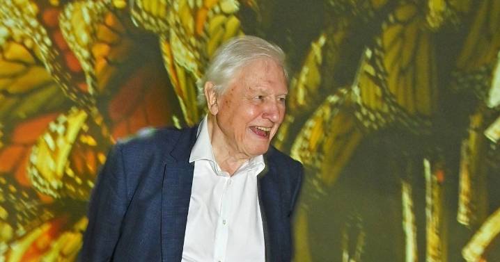 Sir David Attenborough's '10 minute' rule for better health