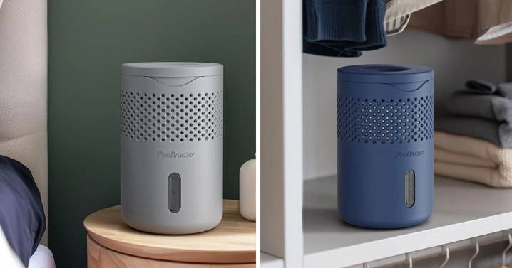 Dehumidifier on sale under £25 at Debenhams is 'amazing'