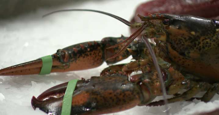 From wholesale to community impact; food bank and local business thrive together