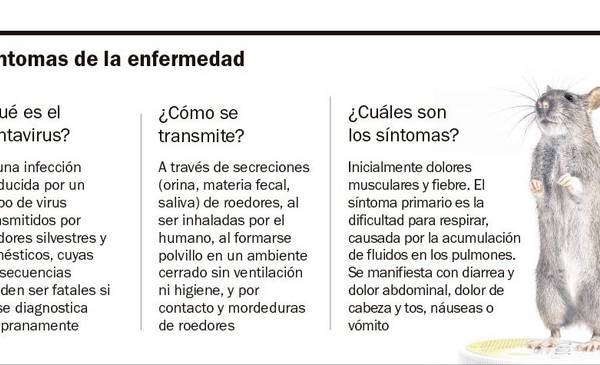 Alerta hantavirus: suben los casos y la Provincia concentra la mayor carga del país