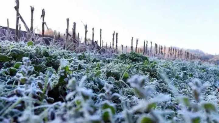 Alertan en Puebla por Frente Frío 19; Se Esperan Temperaturas Bajo Cero