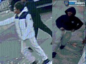Tremont: Youth Sought for Reckless Endangerment Incident on Webster Avenue