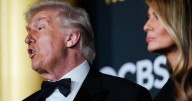 Trump says Netflix-Warner Bros. deals 'could be a problem' due to market size