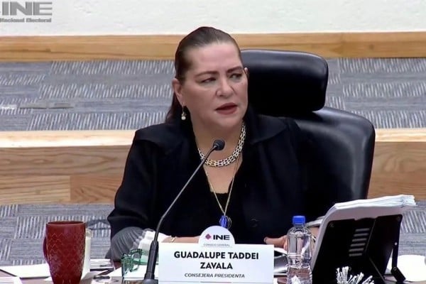 Atajan en INE propuesta electoral de Taddei