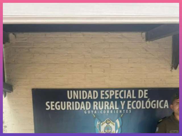 GOYA: Entre Malezas Y Barro, Hallaron Oculta Una Moto Robada