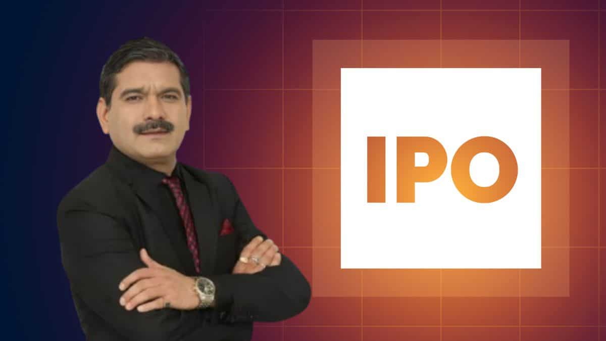 Vidya Wires IPO sees strong subscriptions on Day 2—Should you chase listing gains? Anil Singhvi’s advice