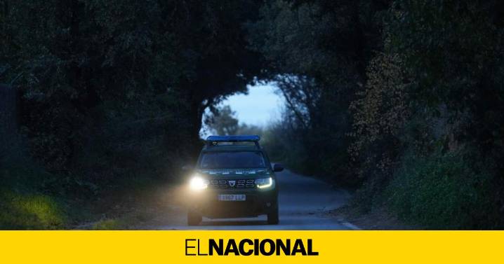 La estrategia de los Agents Rurals para contener el brote de peste porcina: rodear y matar a los jabalíes