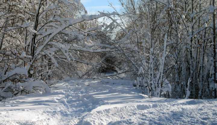 DNR says some snowmobile trails in Michigan are impassable