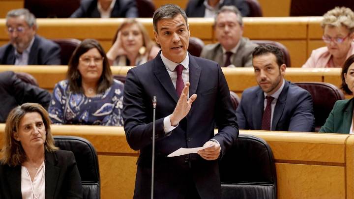 Sánchez pide perdón a diario