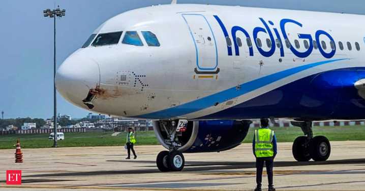 Four DGCA inspectors terminated after IndiGo’s meltdown