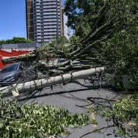Cyclone causes blackout, flight chaos in Brazil's Sao Paulo