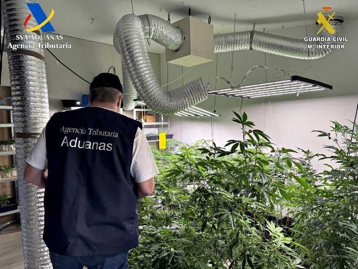 Operación 'Brotherbross': desmantelan en Tenerife un grupo criminal con más de 80 kilos de droga incautada