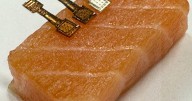 Sensor can tell exactly how fresh fish is in minutes