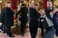 Protestors Pour Piles of Horse Manure on Ritz London Hotel Christmas Tree in Viral Video