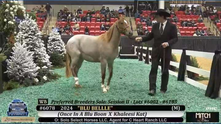 In Fort Worth, the fast-talking rhythm of an auction is the heartbeat of a family tradition