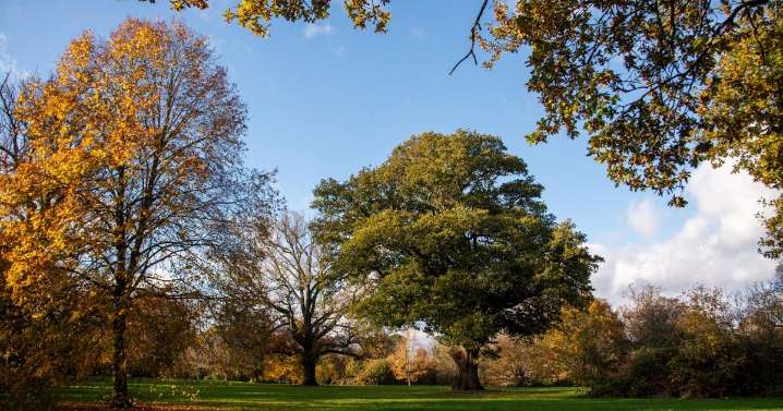 Chantry Park play area in Ipswich damaged after fire