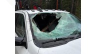 Tree launches through windshield, injuring driver near Leavenworth