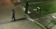 Girl, 12, 'sexually assaulted' in Weston-super-Mare as police release CCTV