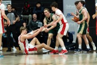 Oregon Class 6A boys basketball league preview: Metro League