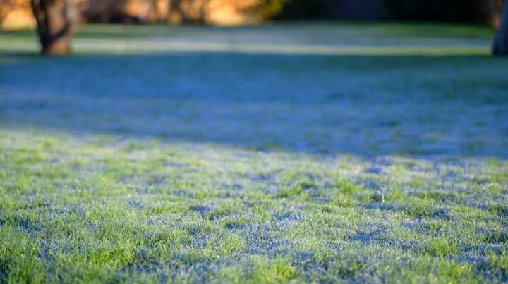 Two Important Lawn Care Tasks You Don't Want To Forget Doing Before Frost Comes