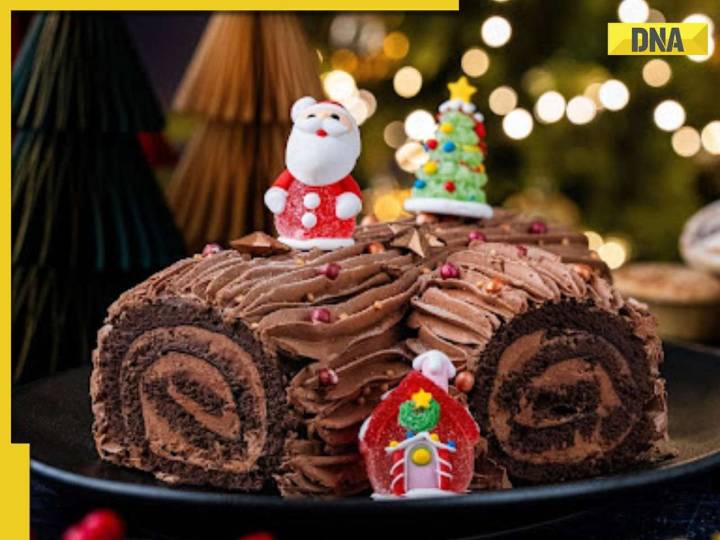 Yule log cake: Know its history, festive significance and step